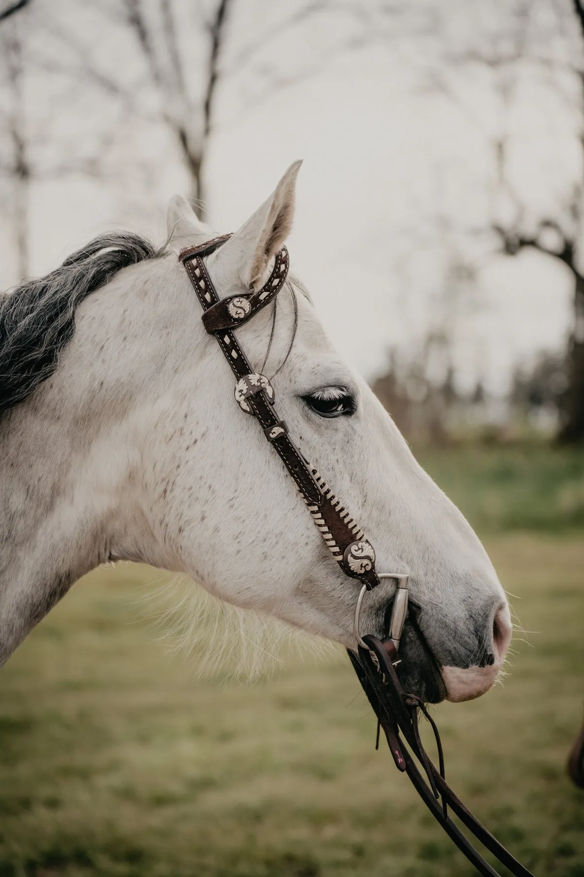 Double J Single Ear Headstall in Brown Rough Out with Cream Buck Stitch and Concho Detail