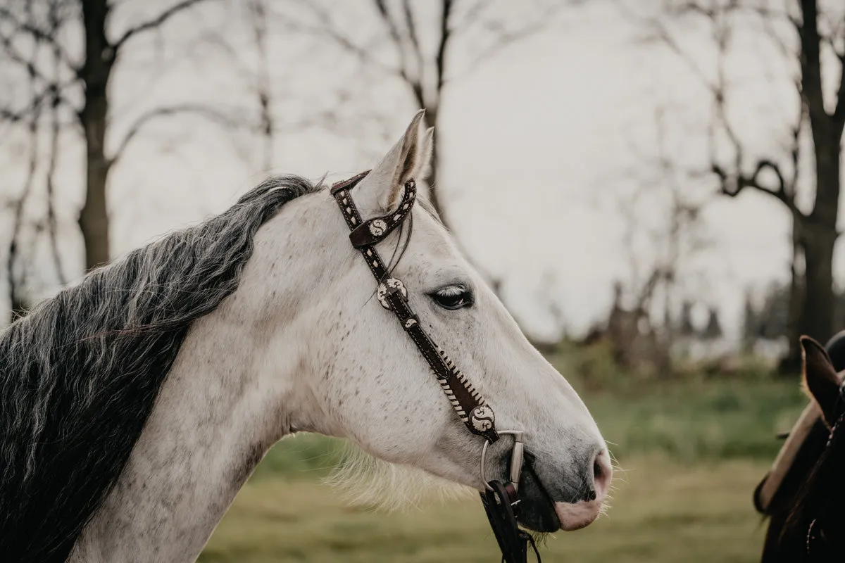 Double J Single Ear Headstall in Brown Rough Out with Cream Buck Stitch and Concho Detail