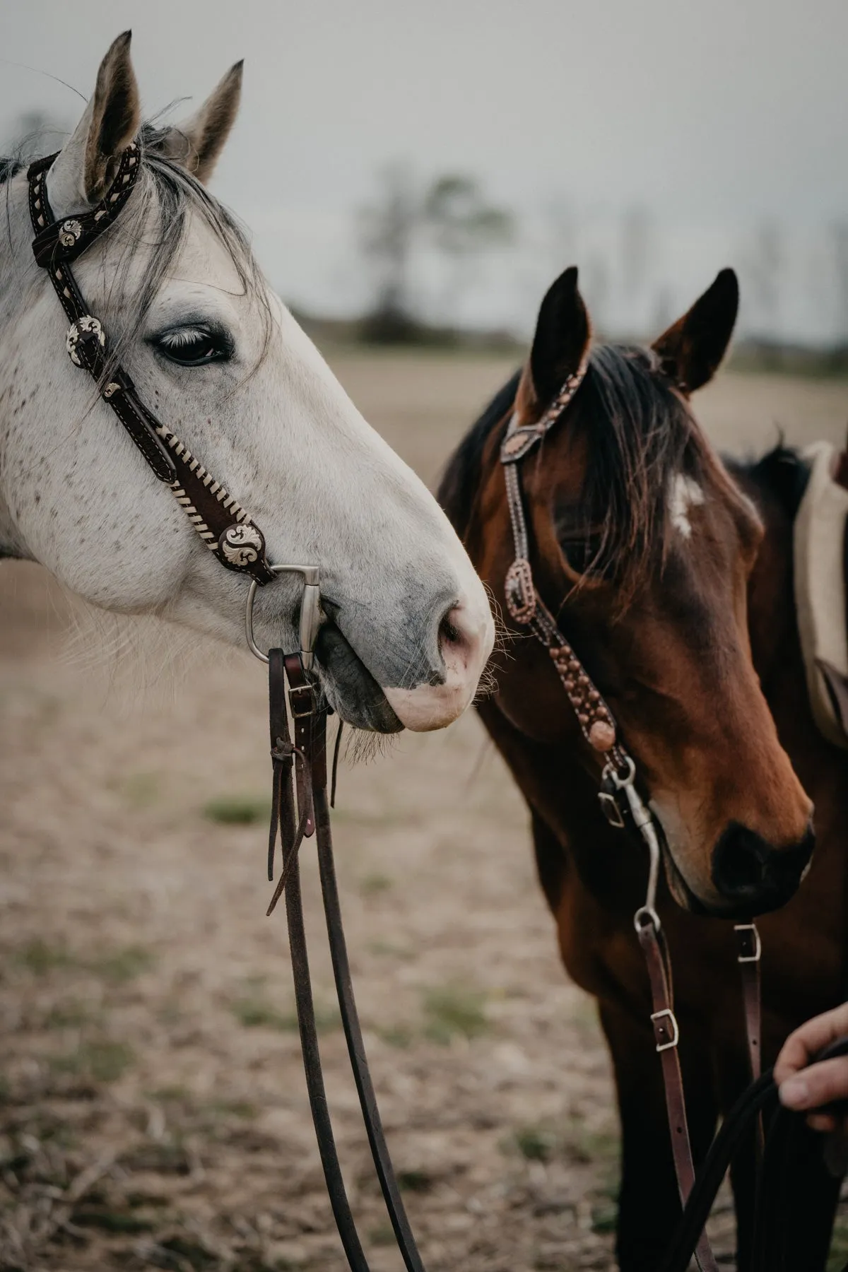 Double J Single Ear Headstall in Brown Rough Out with Cream Buck Stitch and Concho Detail