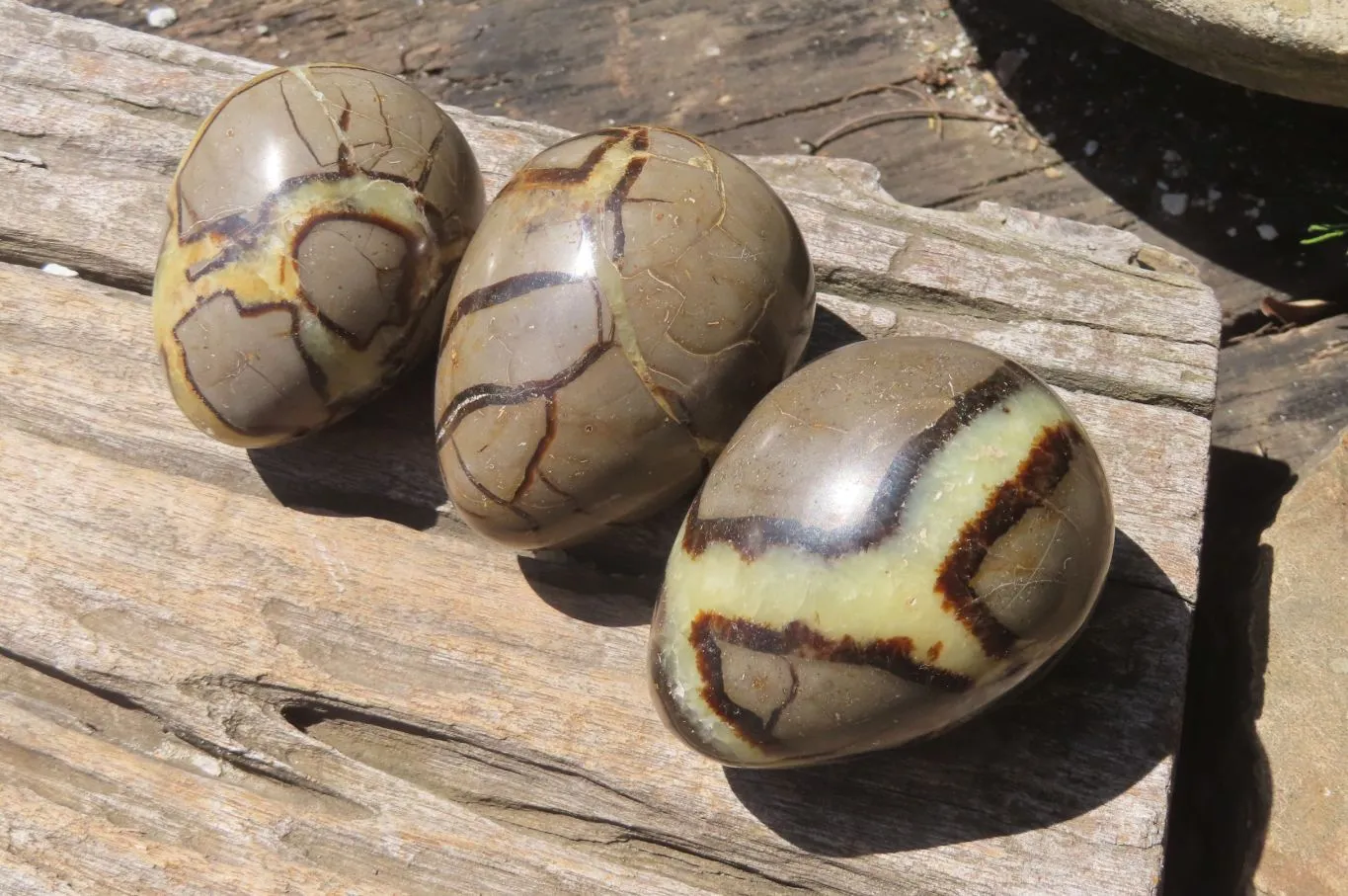 Polished Large Septerye Eggs - Sold Per Item - From Madagascar