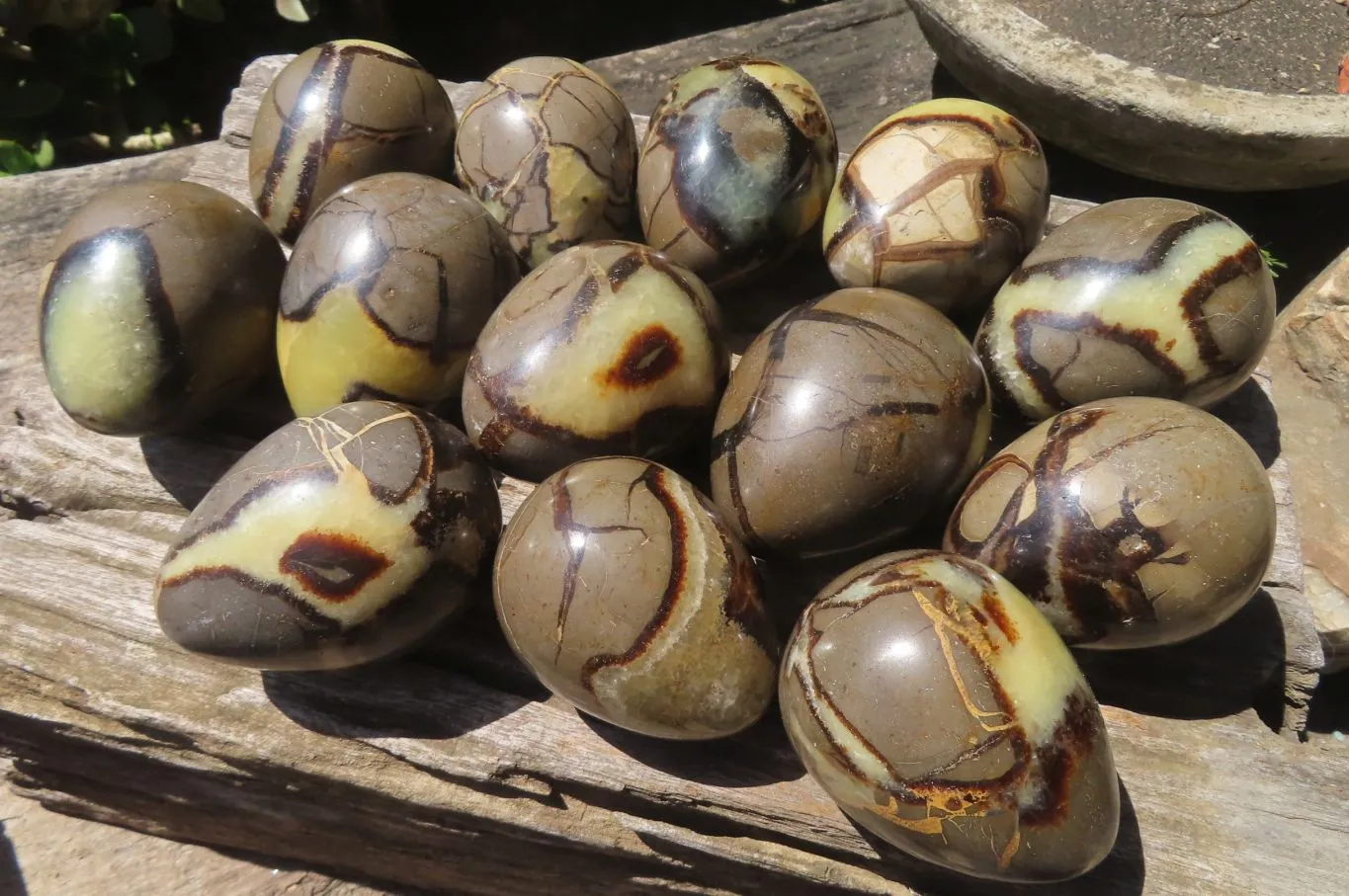 Polished Large Septerye Eggs - Sold Per Item - From Madagascar