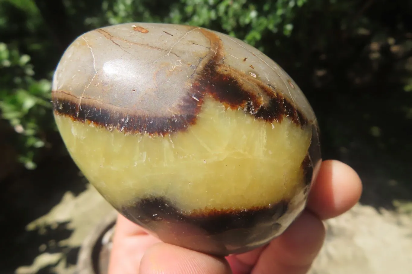 Polished Large Septerye Eggs - Sold Per Item - From Madagascar