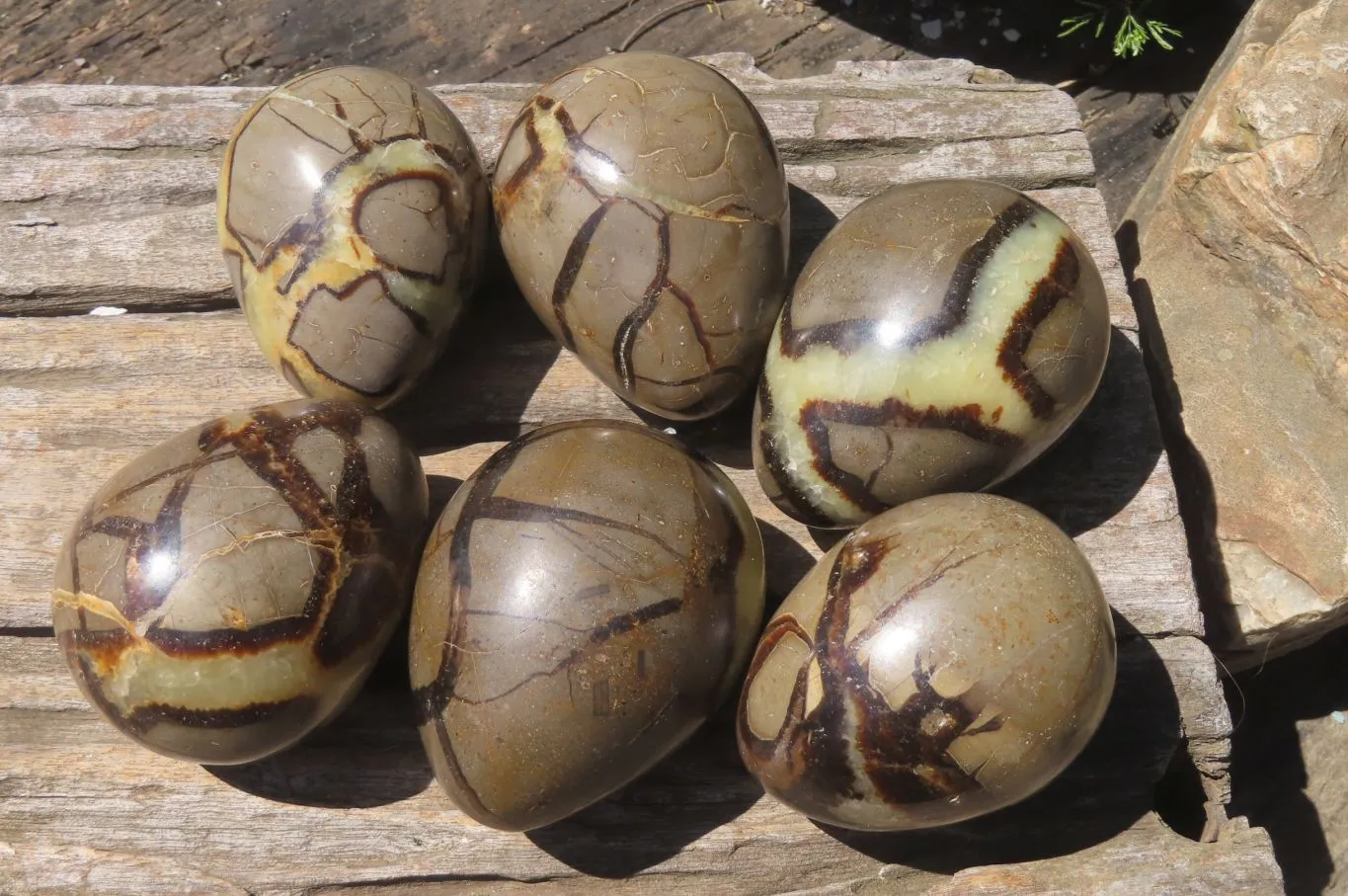 Polished Large Septerye Eggs - Sold Per Item - From Madagascar