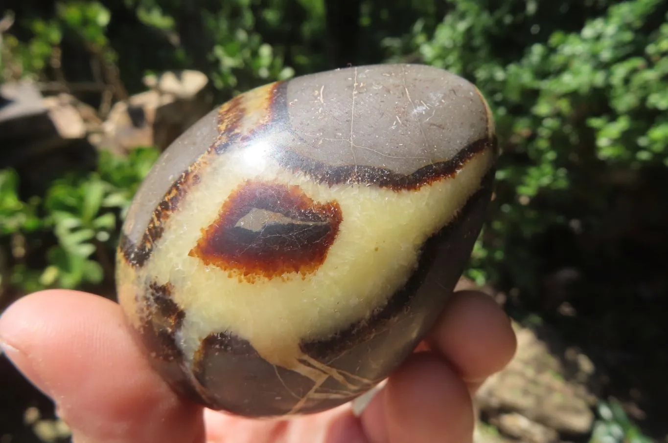 Polished Large Septerye Eggs - Sold Per Item - From Madagascar