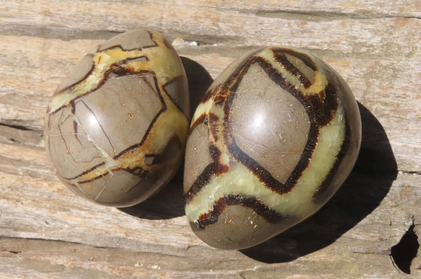 Polished Large Septerye Eggs - Sold Per Item - From Madagascar